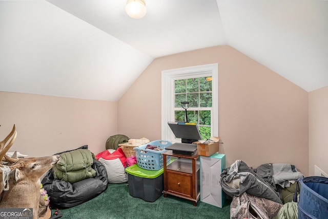 interior space featuring carpet floors and vaulted ceiling