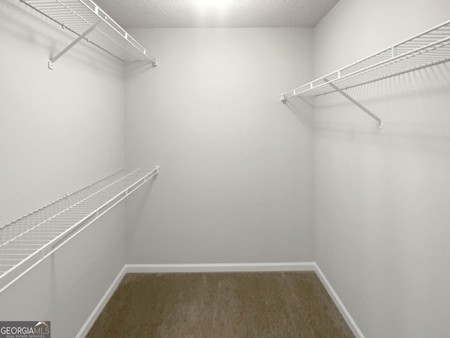 walk in closet with carpet