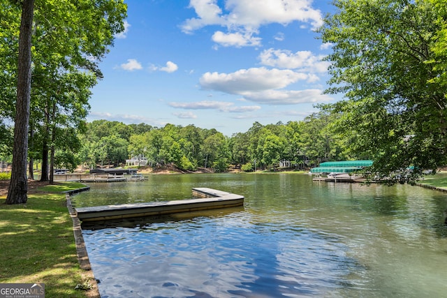 dock area with a water view