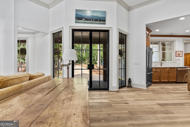 entrance foyer featuring sink and light hardwood / wood-style floors