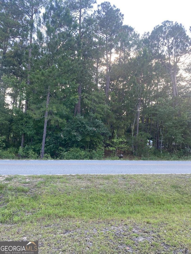 Listing photo 2 for 0 Wanda Ln, Swainsboro GA 30401