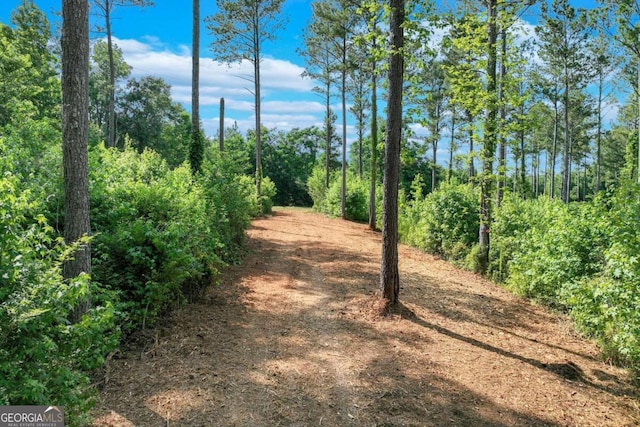 860 Arnoldsville Rd, Winterville GA, 30683 land for sale