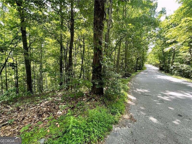 Listing photo 3 for 0 Antioch Cemetery Rd, Morganton GA 30560