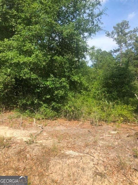 785 Riverbank Rd, Reidsville GA, 30453 land for sale