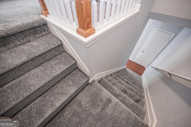 staircase featuring carpet floors