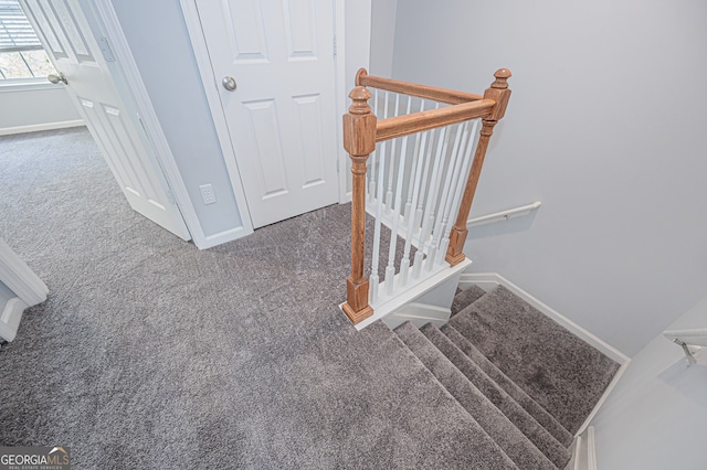 stairway featuring carpet