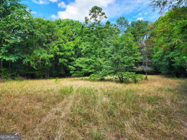 145 S Sugar Creek Rd, Eatonton GA, 31024 land for sale