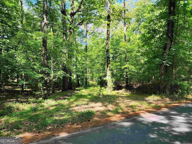 Listing photo 2 for 145 S Sugar Creek Rd, Eatonton GA 31024