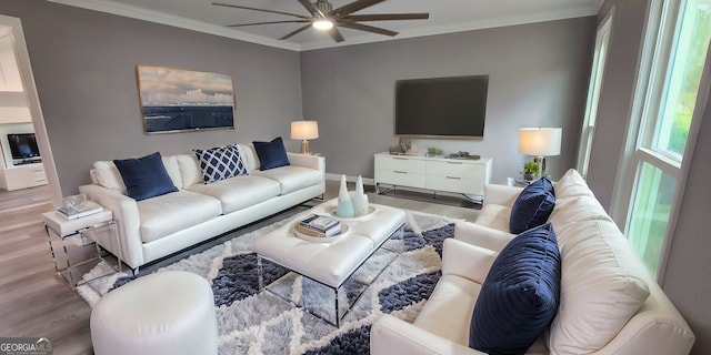 living room with ceiling fan, ornamental molding, and wood finished floors