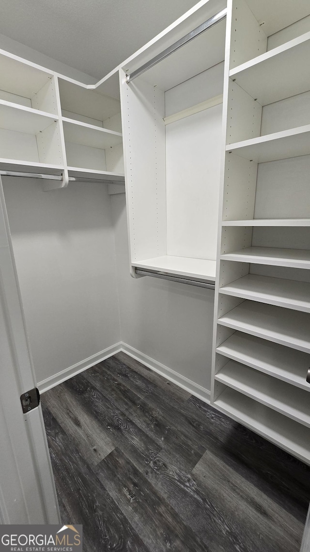 spacious closet with dark wood-style floors