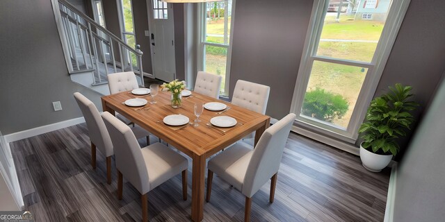 dining room with wood finished floors, a wealth of natural light, and baseboards