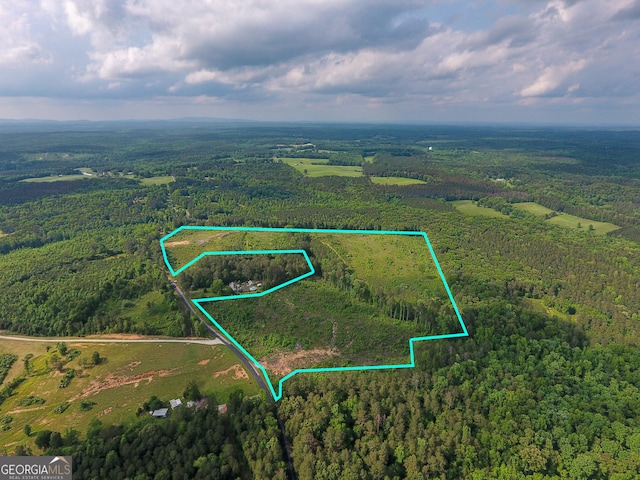 0 Steadman Rd, Tallapoosa GA, 30176 land for sale