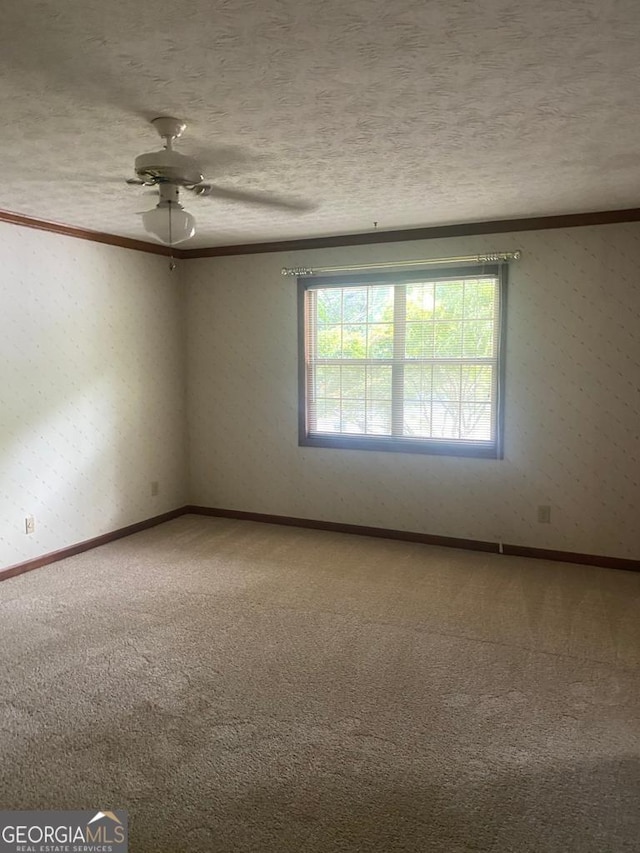 empty room featuring carpet floors and a textured ceiling