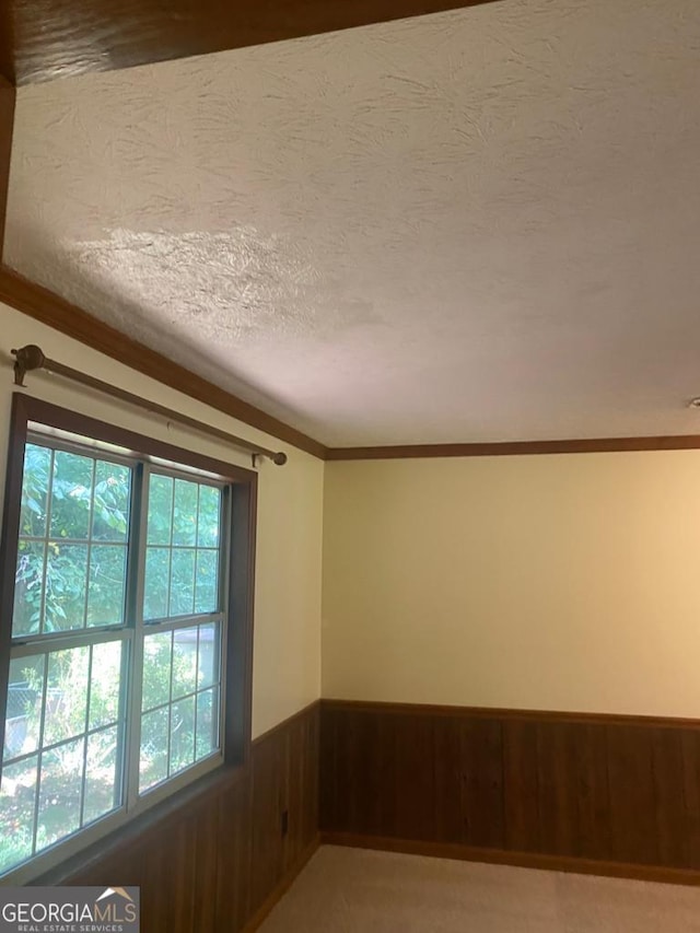 carpeted spare room featuring ornamental molding, a textured ceiling, and wood walls