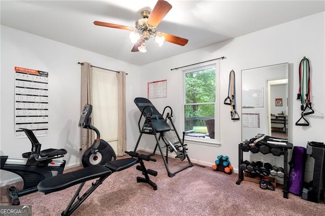 workout room with carpet flooring and ceiling fan