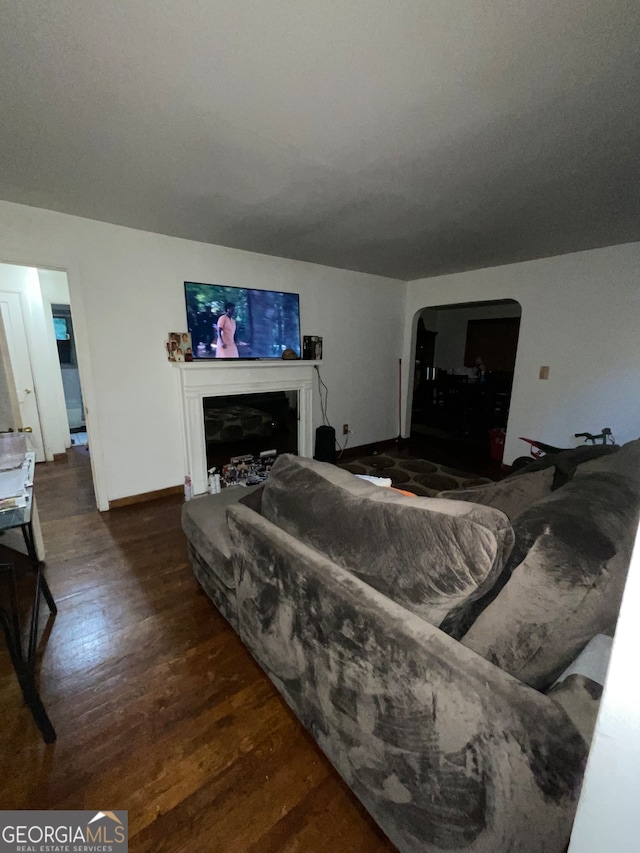 living room featuring dark wood-type flooring