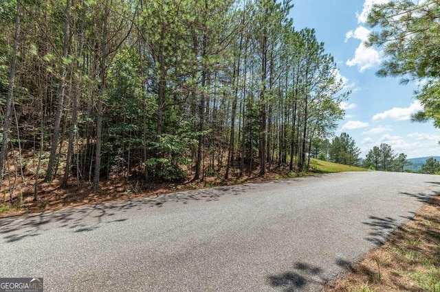 Listing photo 3 for LOT20 Pinehurst, Blairsville GA 30512