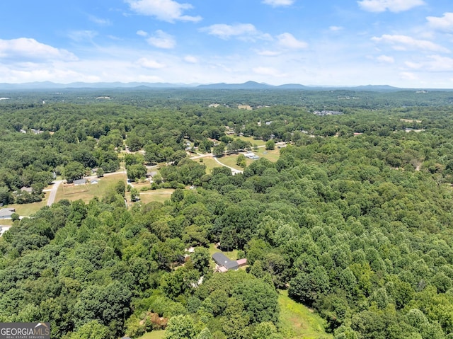 drone / aerial view with a mountain view