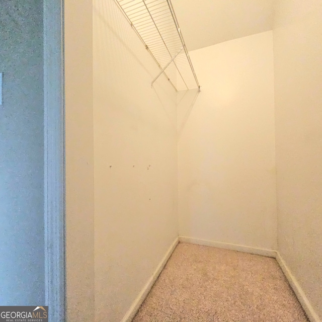 walk in closet featuring carpet flooring