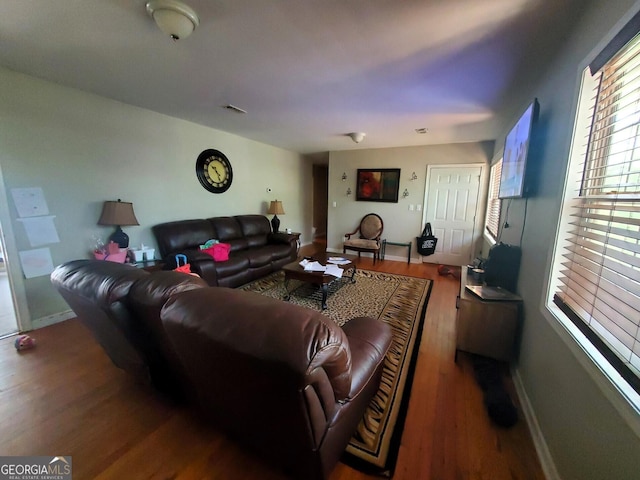 living room with hardwood / wood-style flooring and a wealth of natural light