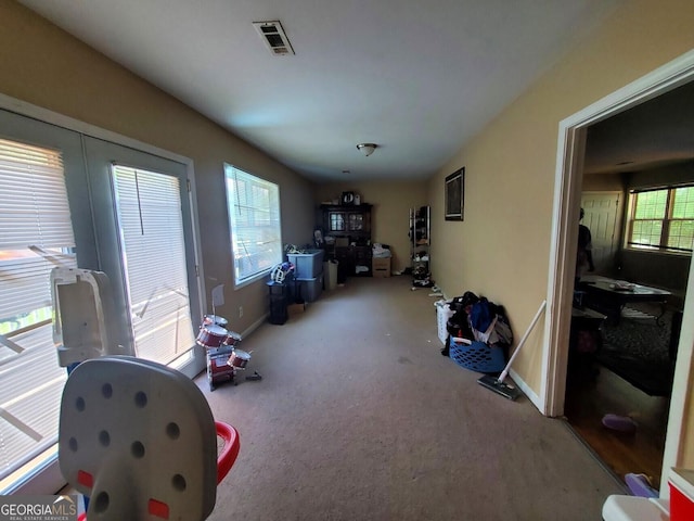 interior space with carpet and a healthy amount of sunlight