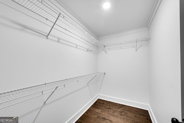 spacious closet featuring dark wood-type flooring