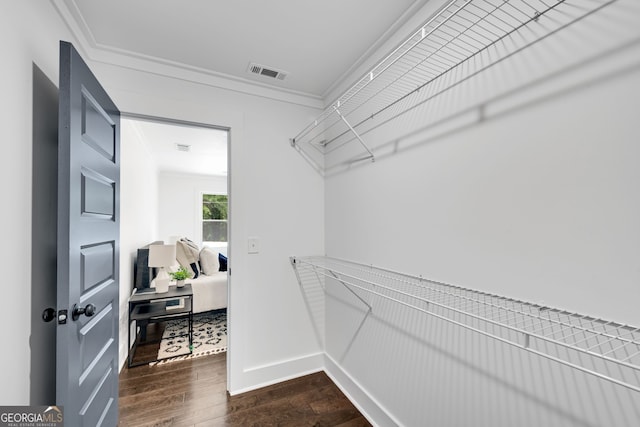 walk in closet featuring dark hardwood / wood-style flooring