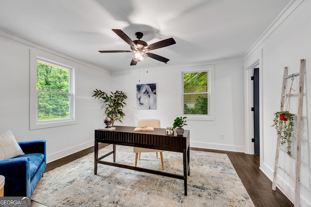 office featuring dark hardwood / wood-style floors, ceiling fan, and crown molding