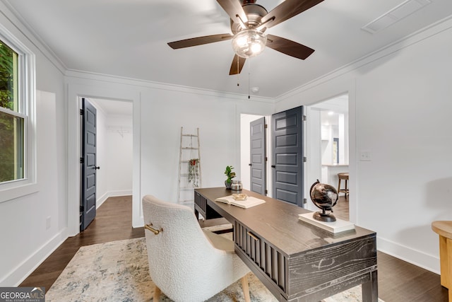 office featuring dark hardwood / wood-style floors, ceiling fan, and ornamental molding