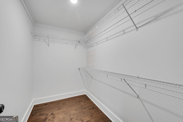 spacious closet featuring hardwood / wood-style flooring