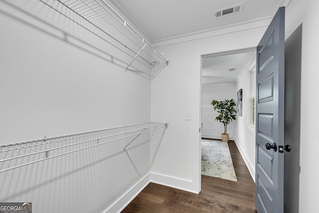 spacious closet featuring dark wood-type flooring