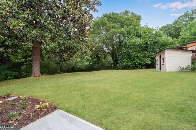 view of yard with a shed