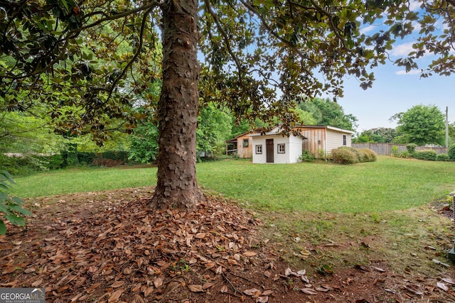 view of yard featuring a storage shed