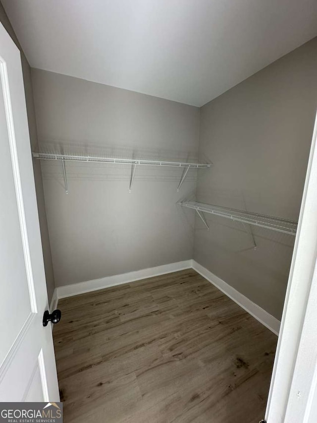 spacious closet featuring wood-type flooring