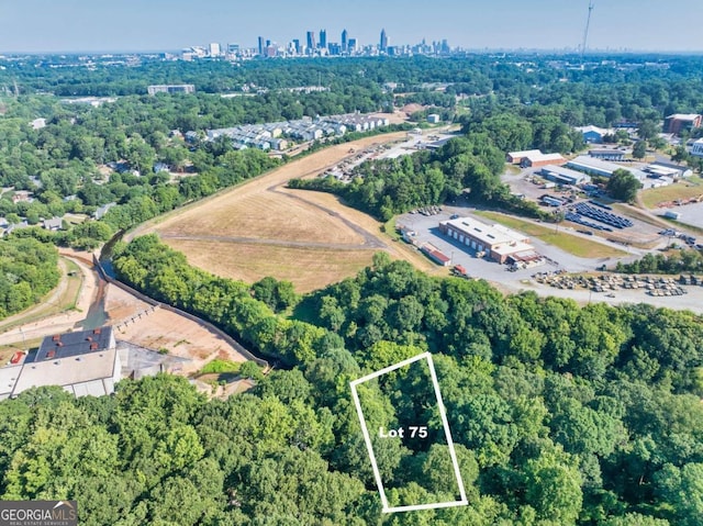 914 SE Sloan Cir, Atlanta GA, 30316 land for sale