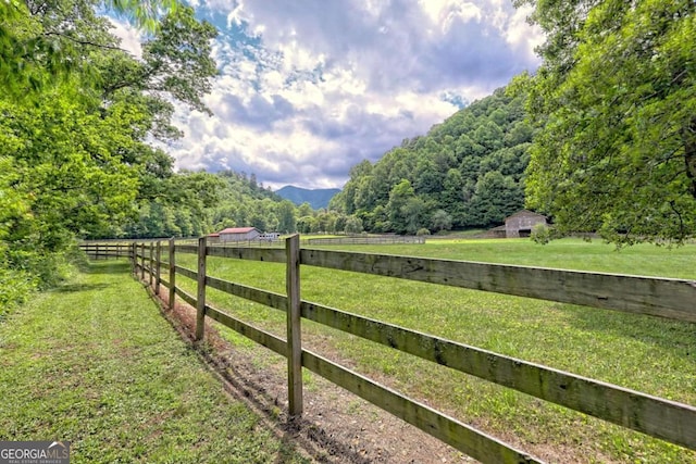 view of yard with a mountain view and a rural view