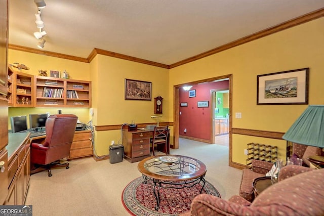 carpeted office space featuring crown molding and track lighting