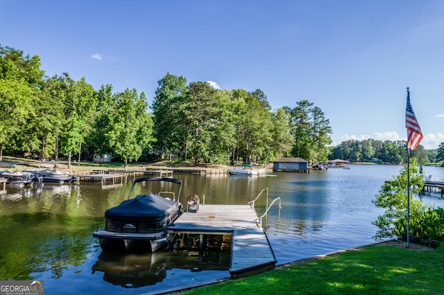 dock area with a water view