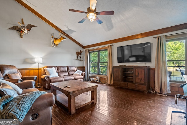 living room featuring a textured ceiling, wooden walls, dark hardwood / wood-style flooring, and lofted ceiling