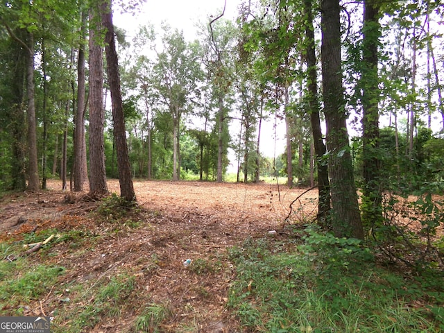 0 Modoc Rd, Swainsboro GA, 30401 land for sale