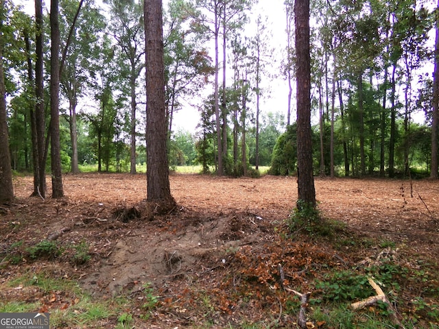 Listing photo 2 for 0 Modoc Rd, Swainsboro GA 30401