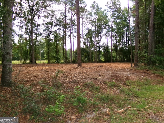 Listing photo 3 for 0 Modoc Rd, Swainsboro GA 30401