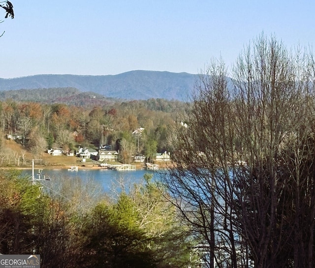 property view of water featuring a mountain view