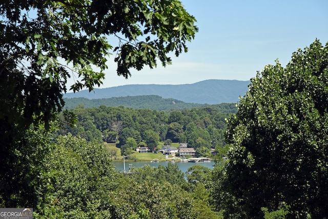 mountain view with a water view