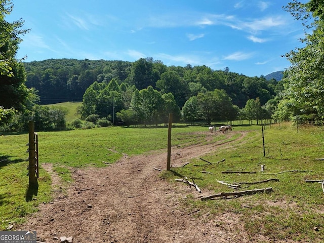 Listing photo 3 for 13.4AC Mount Pleasant Church Rd, Blairsville GA 30512