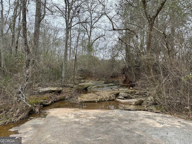 view of local wilderness with a water view