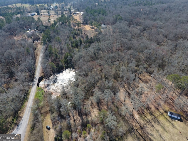 view of bird's eye view