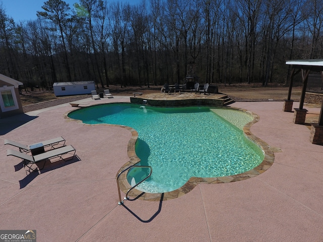 view of pool featuring a patio area