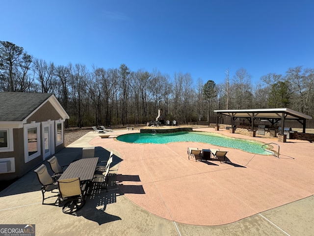 view of pool featuring a patio area