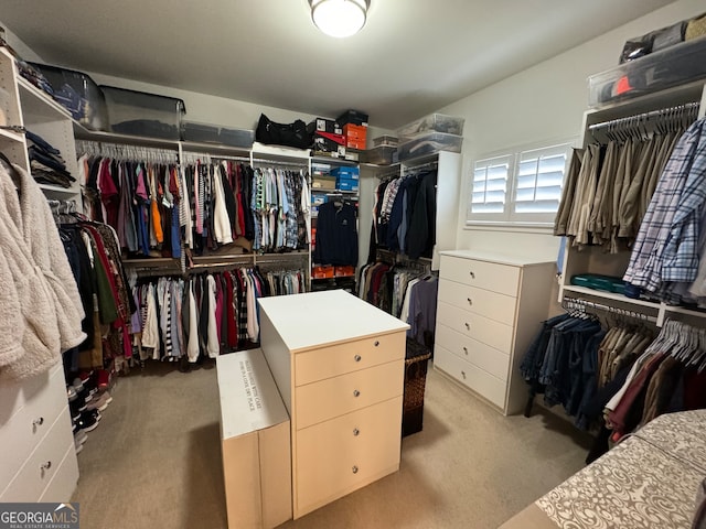 walk in closet featuring carpet flooring